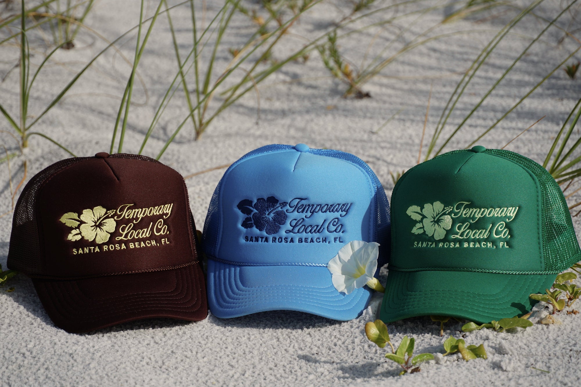 HIBISCUS COLLECTION